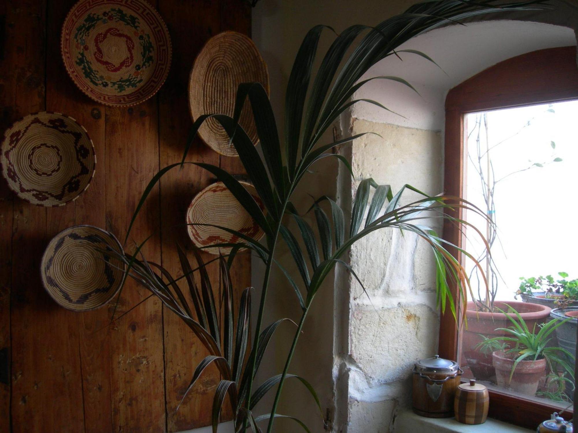 Bed and Breakfast Piazza San Pantaleo Сорсо Экстерьер фото